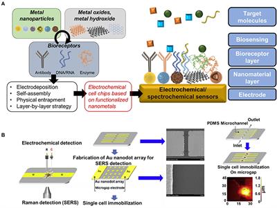 Frontiers Electrochemical Cell Chips Based On Functionalized Nanometals